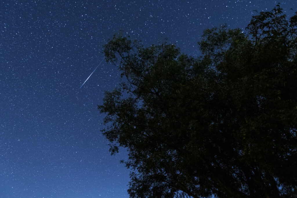 Stargazing at Sariska