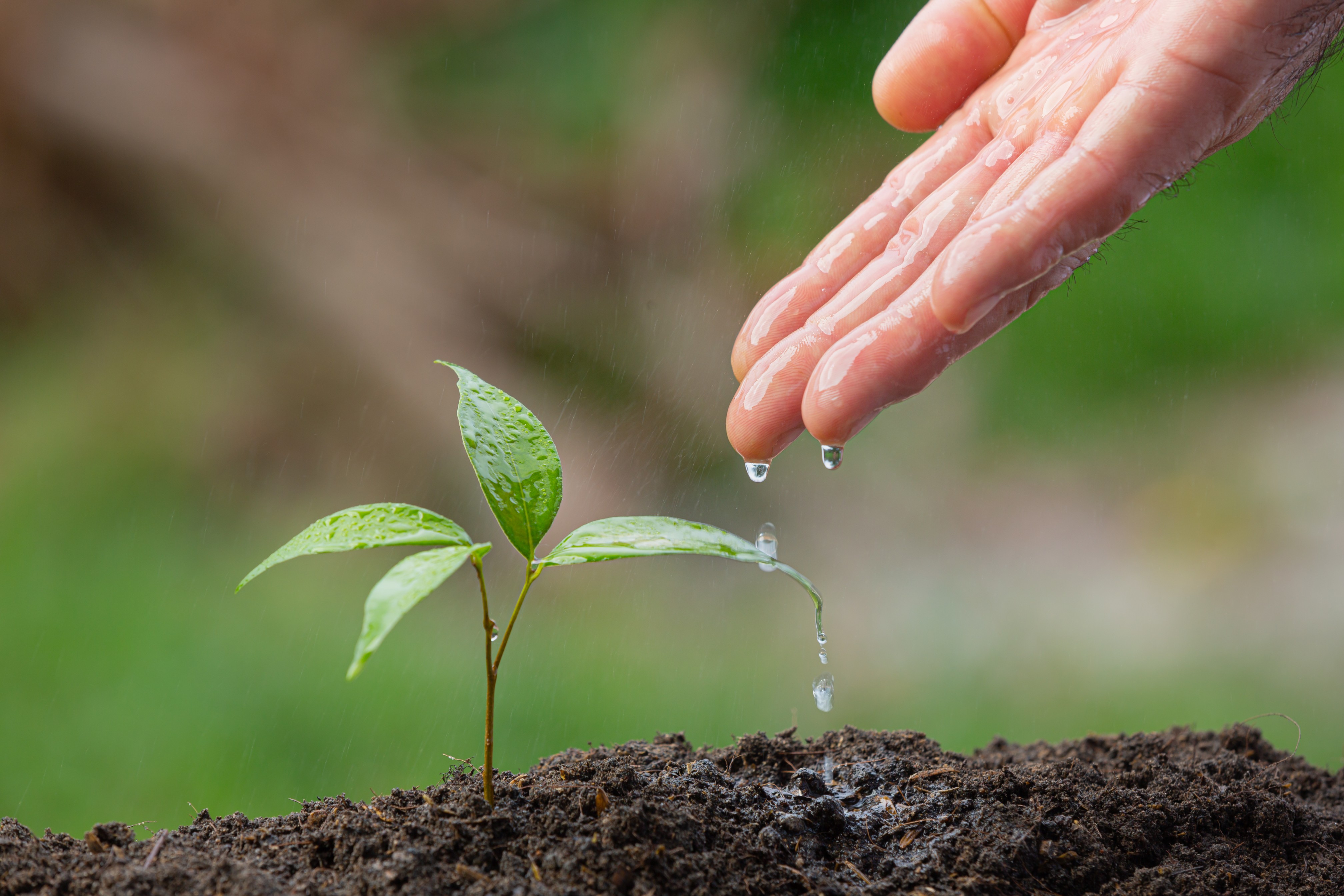 Water conservation technique used by Sariska Manor Resort in Sariska 