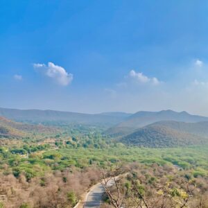 Exploring Beyond the forests of Sariska
