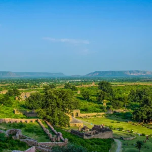 Experience the Essence of Wilderness: Why Sariska National Park Is a Must-Visit Destination for Nature Lovers