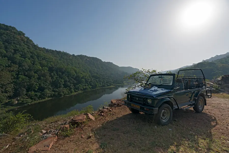 You are currently viewing A Wildlife Enthusiast’s Guide to Sariska National Park