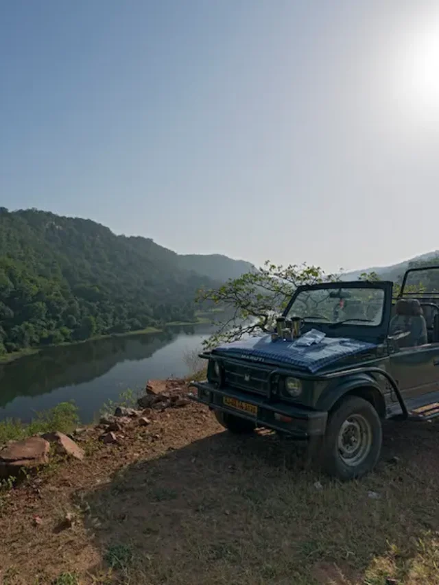 You are currently viewing Embrace the Wild: A Journey through Sariska National Park