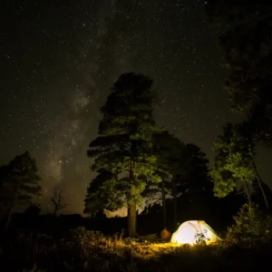 Camping Under the Stars: Outdoor Experiences at Sariska