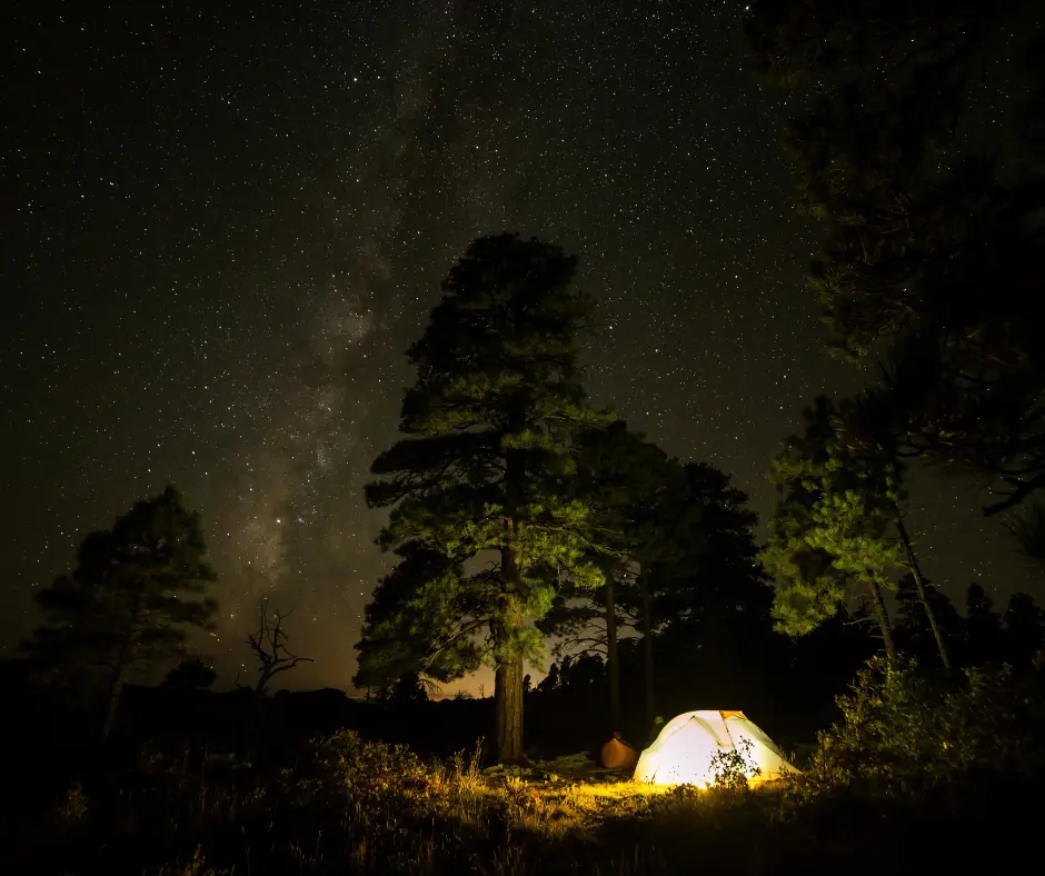 You are currently viewing Camping Under the Stars: Outdoor Experiences at Sariska