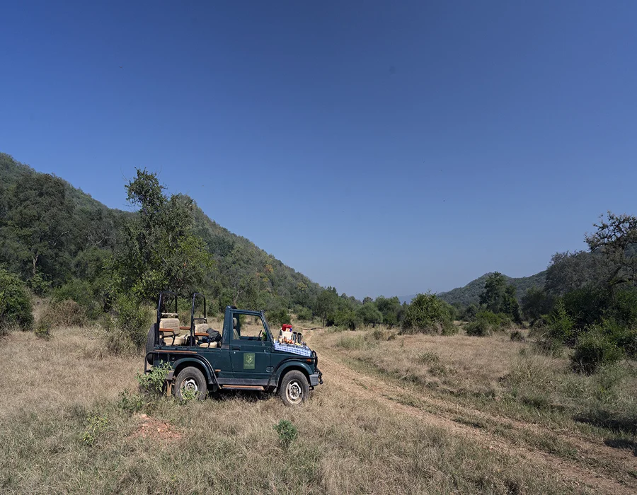 wildlife lodge and resort in Sariska