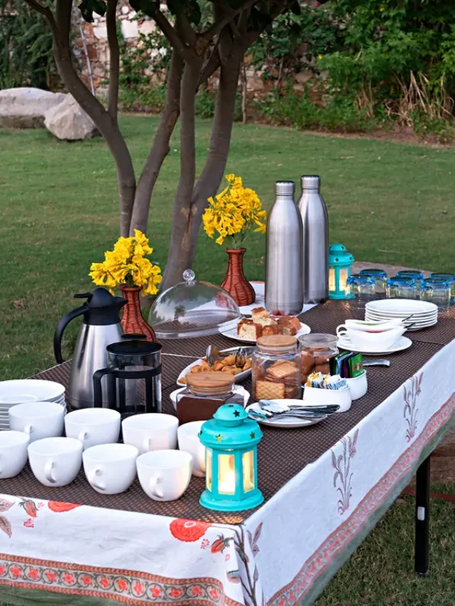 Sustainable Tourism in Sariska: How to Travel Responsibly and Enjoyably