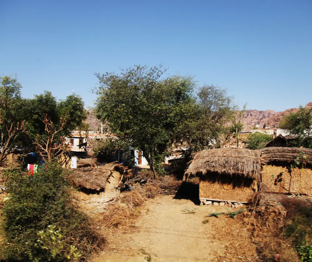 Discover Abandoned Villages in Sariska, Alwar District, Rajasthan