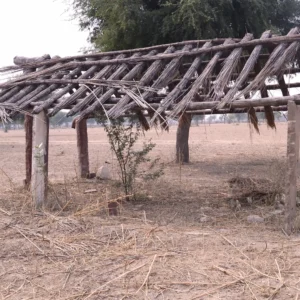 Exploring Forgotten Tales: Abandoned Villages in Sariska, Alwar District, Rajasthan