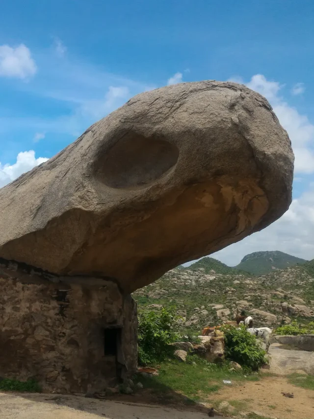 Exploring the Historic Marvels of Alwar District: Viratnagar