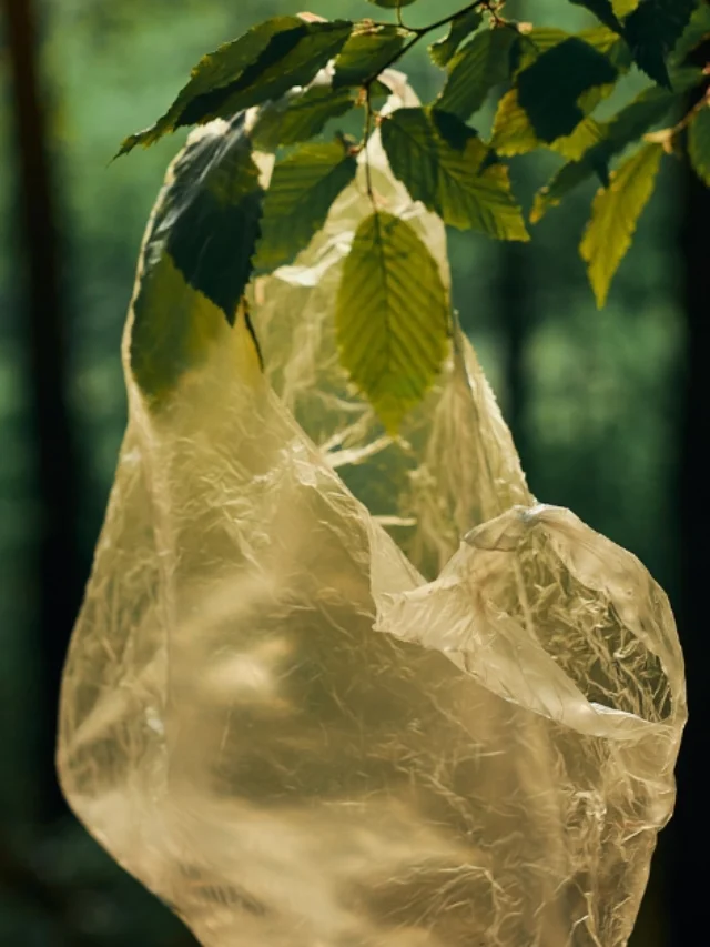 Minimising Waste on Your Sariska Trip: Eco-friendly Tips for Responsible Travelers