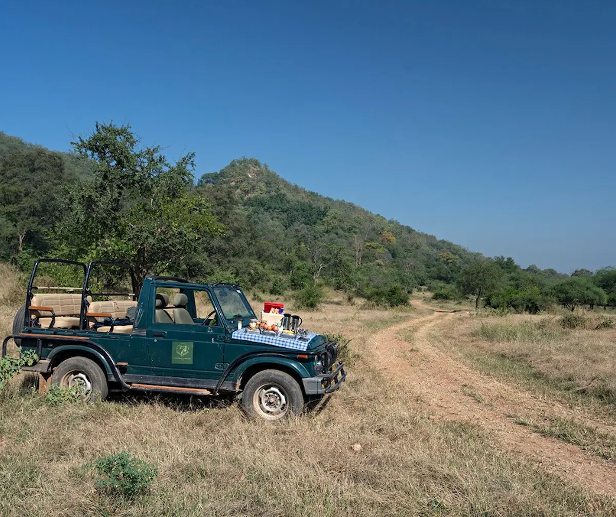 You are currently viewing A Guide to the Best Safari Experiences in Sariska